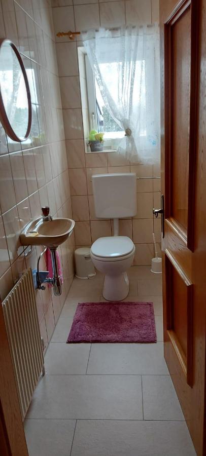 Ferienwohnung Seeberg Mit Almfeeling Faistenau Exterior foto