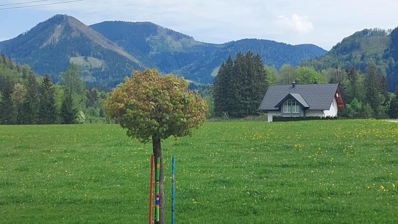Ferienwohnung Seeberg Mit Almfeeling Faistenau Exterior foto